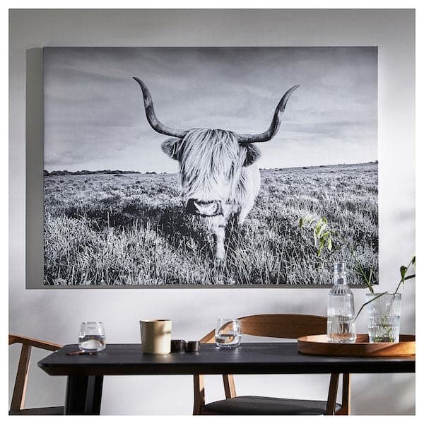 BJÖRKSTA - Canvas with frame, curious cow/black, , 140x100 cm - best price from Maltashopper.com 49508912