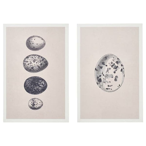 BJÖRNAMO - Art print on hollow wood, eggs, 20x30 cm
