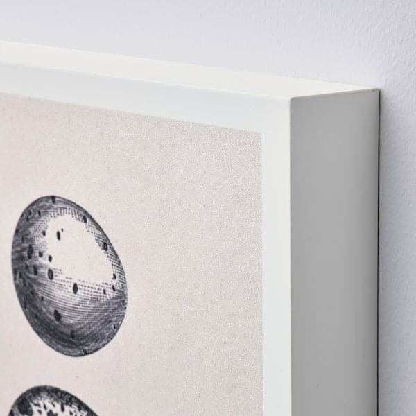 Ikea BJÖRNAMO - Art print on hollow wood, eggs, 20x30 cm