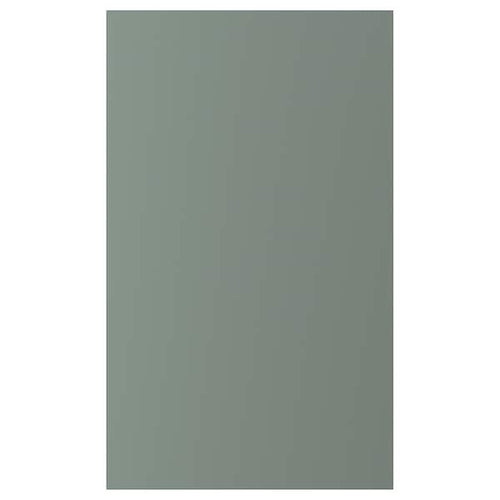 BODARP - Door, grey-green, 60x100 cm