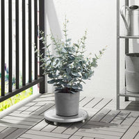 BOYSENBÄR - Plant pot, in/outdoor light grey, 15 cm - best price from Maltashopper.com 40459256