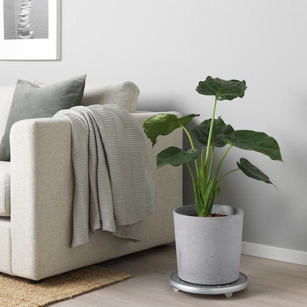 BOYSENBÄR - Plant pot, in/outdoor light grey, 24 cm - best price from Maltashopper.com 30452260