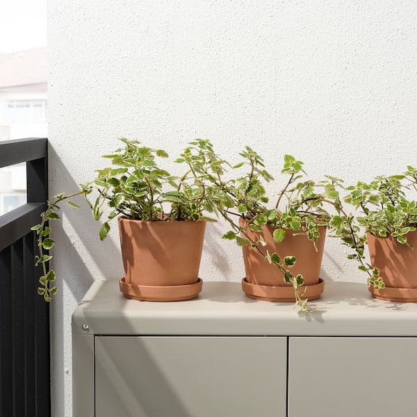 Ikea BRUNBÄR - Plant pot with saucer, outdoor terracotta, 15 cm
