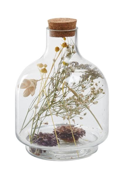Glass cover with dry flowers, various colors - best price from Maltashopper.com CS662053
