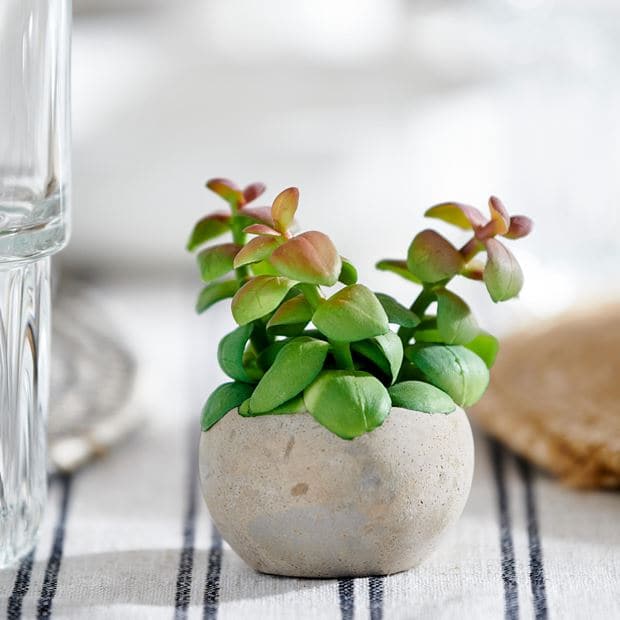 STONE Fake succulent in green pot H 5 cm - Ø 5.5 cm - best price from Maltashopper.com CS633892