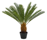 CYCAS Green palm H 80 cm - Ø 78 cm - best price from Maltashopper.com CS624722