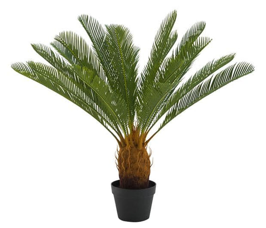 CYCAS Green palm H 80 cm - Ø 78 cm - best price from Maltashopper.com CS624722