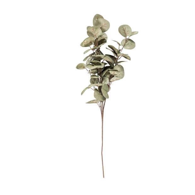 EVA Eucalyptus greenL 80 cm - best price from Maltashopper.com CS655606