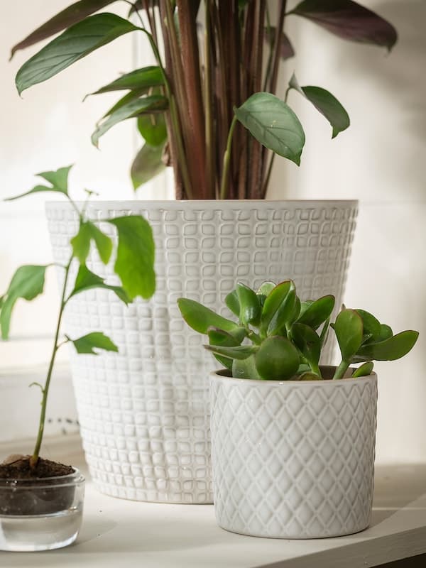 Ikea CHIAFRÖN - Plant pot, white, 9 cm
