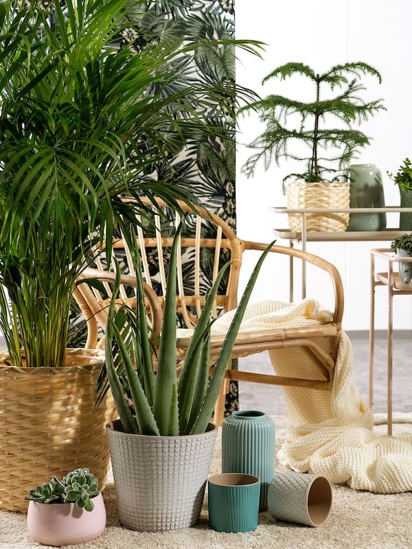 Ikea CHIAFRÖN - Plant pot, white, 9 cm