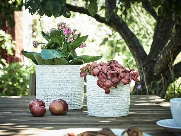 Ikea CHIAFRÖN - Plant pot, in/outdoor white, 12 cm