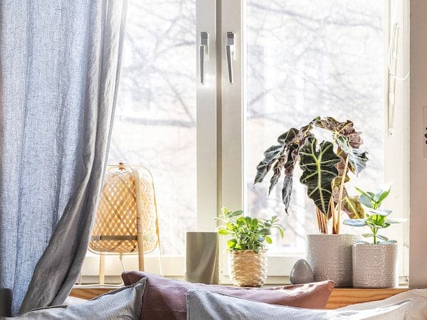 Ikea CHIAFRÖN - Plant pot, in/outdoor white, 12 cm