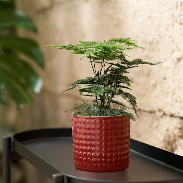 CHIAFRÖN - Plant pot, in/outdoor red, 9 cm - best price from Maltashopper.com 30574558