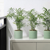 CHIAFRÖN - Plant pot, in/outdoor green, 12 cm - best price from Maltashopper.com 50563785