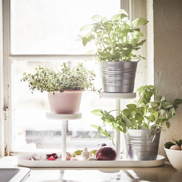 Showcase your favorite plants in style