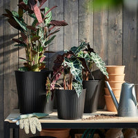 CITRONMELISS - Plant pot, in/outdoor/anthracite, 19 cm - best price from Maltashopper.com 20562508
