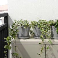 CITRUSFRUKT - Plant pot with saucer, in/outdoor grey, 15 cm - best price from Maltashopper.com 20508432