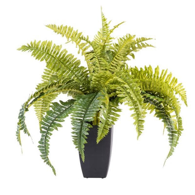 BOSTON Green fern H 55 cm - Ø 17 cm - best price from Maltashopper.com CS592900