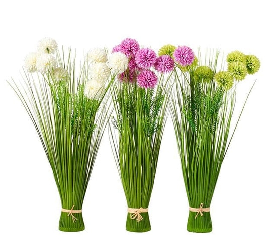 ALLIUM DECO ONION GRASS 3COL - best price from Maltashopper.com CS670572