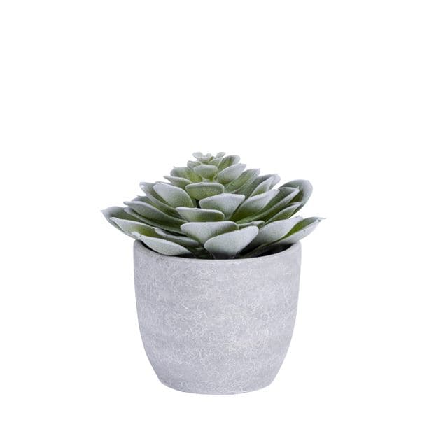 FLOCKY PLANT IN POT 4ASS - best price from Maltashopper.com CS661080