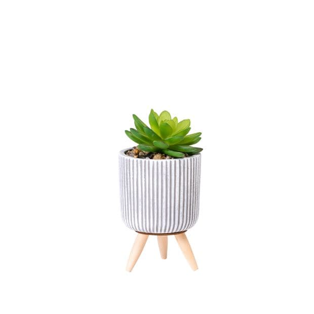 STRIPE Fake succulent in multicolored pot H 14 cm - Ø 7,5 cm - best price from Maltashopper.com CS633675