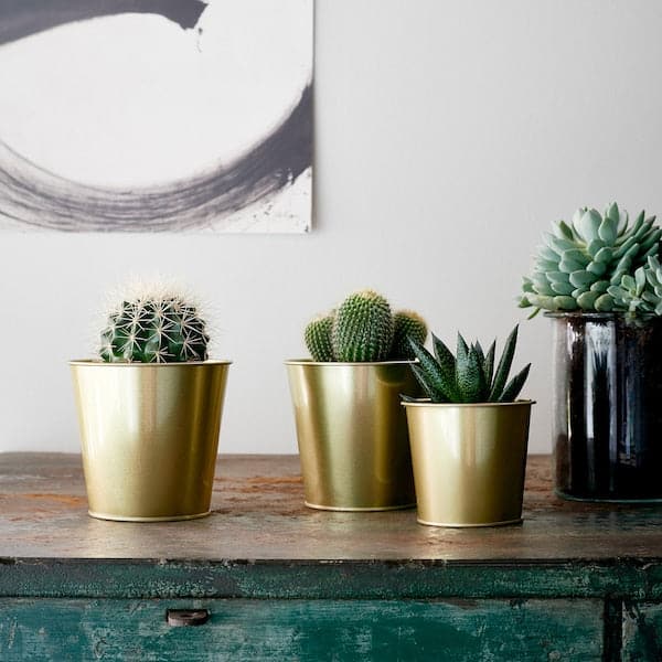 DAIDAI - Plant pot, brass-colour, 12 cm - best price from Maltashopper.com 70359420