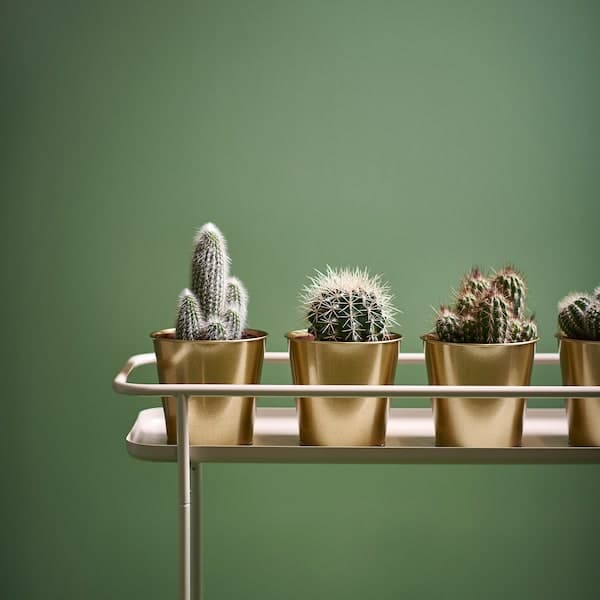 Ikea DAIDAI - Plant pot, brass-colour, 12 cm