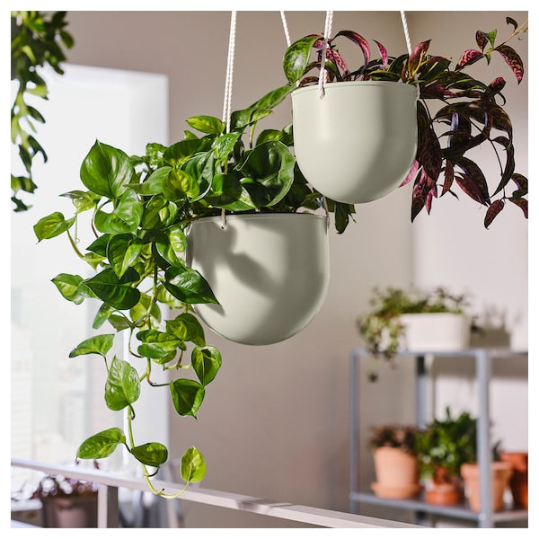 DAKSJUS - Set of 2 hanging pot holders, indoor/outdoor light grey-beige - best price from Maltashopper.com 20568888