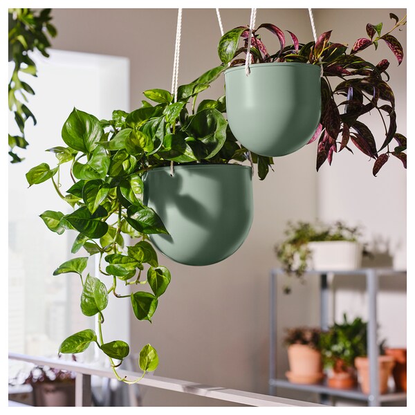 DAKSJUS - Set of 2 hanging pot holders, indoor/outdoor light grey-green - best price from Maltashopper.com 10567035