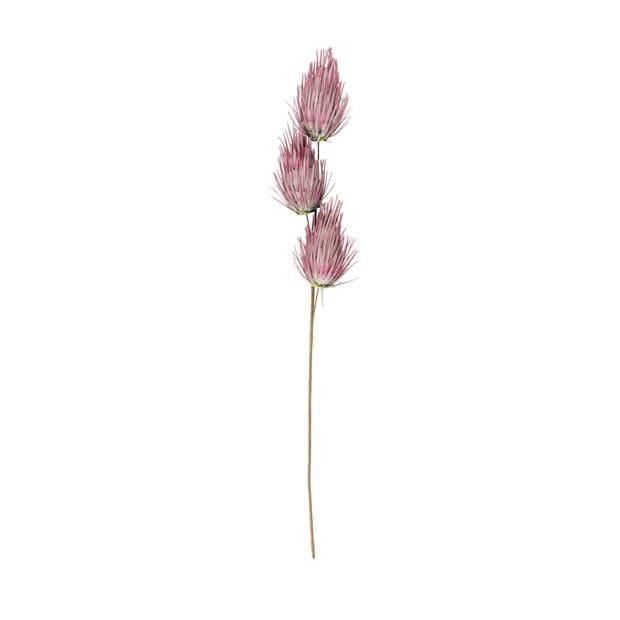 EVA Thistle flower, L80CM, 3 color variants - best price from Maltashopper.com CS655592