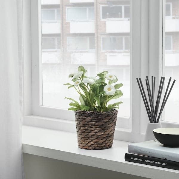 DRUVFLÄDER - Plant pot, water hyacinth/grey, 12 cm - best price from Maltashopper.com 80241816