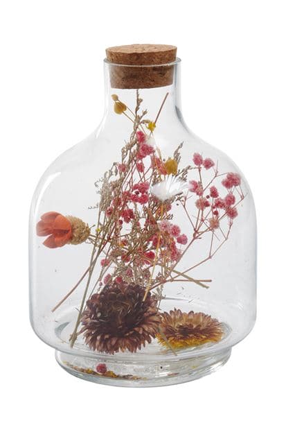 Glass cover with dry flowers, various colors