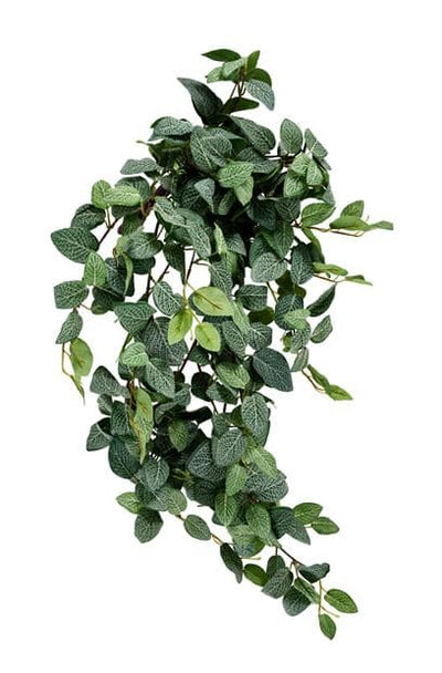 FITTONIA Garland of green leavesL 54 cm - best price from Maltashopper.com CS663775