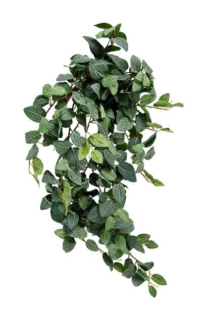 Casa FITTONIA Green leaf garland, L 54 cm