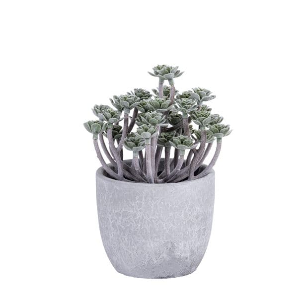 FLOCKY PLANT IN POT 4ASS
