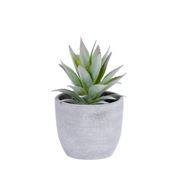 FLOCKY PLANT IN POT 4ASS - best price from Maltashopper.com CS661080