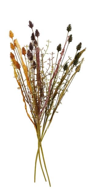 Casa PLANTAGO HERBS BRANCH 3COL