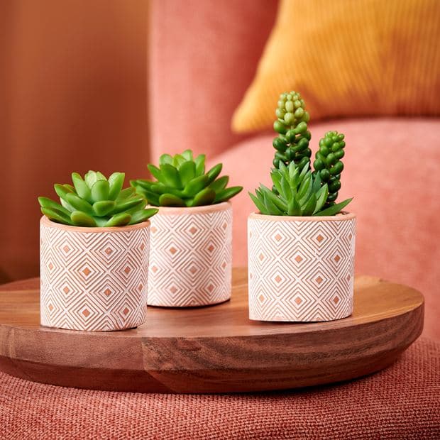 TERRACOTTA artificial succulent, 2 shape variants - best price from Maltashopper.com CS649362