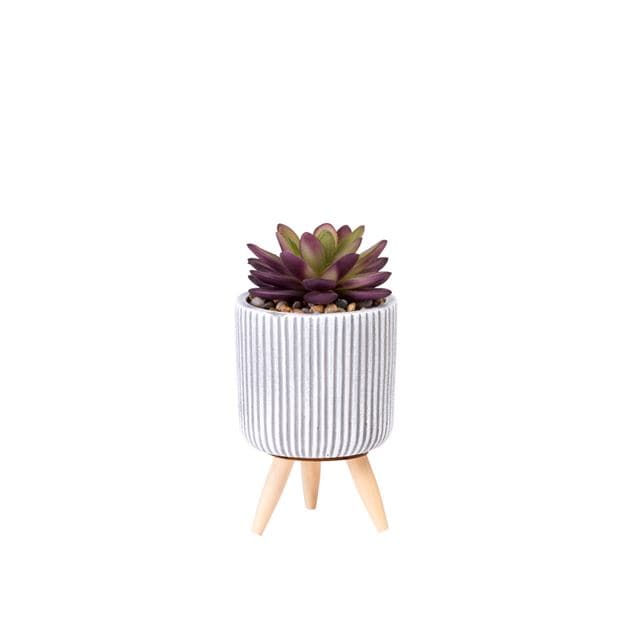 STRIPE Fake succulent in multicolored pot H 14 cm - Ø 7,5 cm - best price from Maltashopper.com CS633675