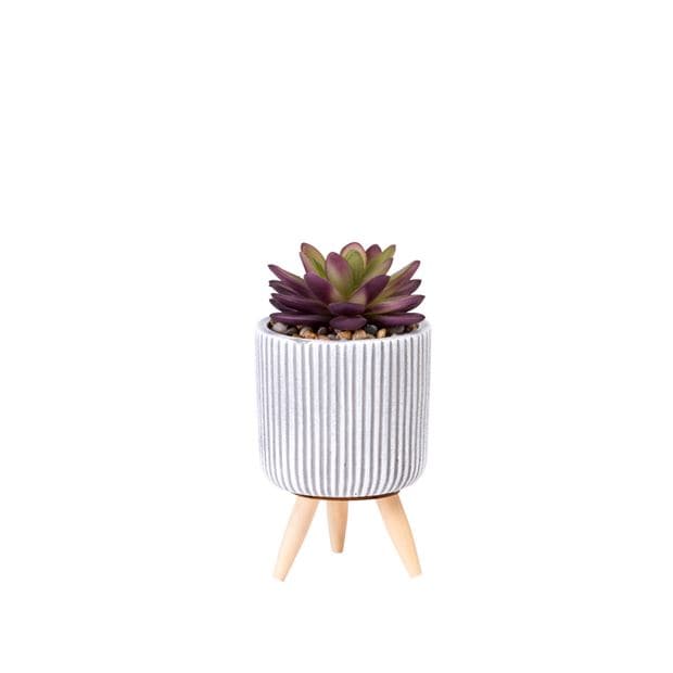 Casa STRIPE PLANT IN POT