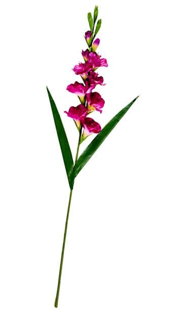 Casa GLADIUS GLADIOLUS 93cm 3COL