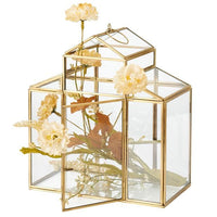 GREENHOUSES Golden plant terrarium H 26 x W 24 x D 13 cm - best price from Maltashopper.com CS660709