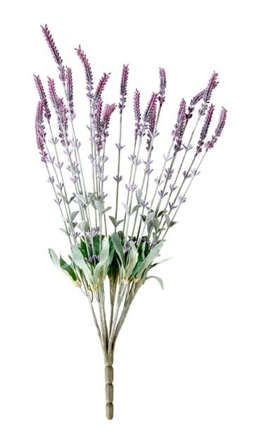 PURPLE Bunch of purple lavender H 48 cm