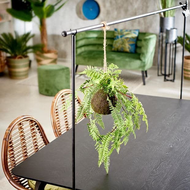 Casa GREENERY FERN IN HANGING POT