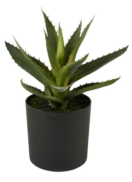 MOHAVE Faux potted succulents 6 model variants - best price from Maltashopper.com CS612129