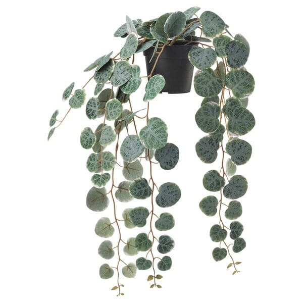 Ikea FEJKA - Artificial potted plant, in/outdoor hanging/String of hearts, 9 cm