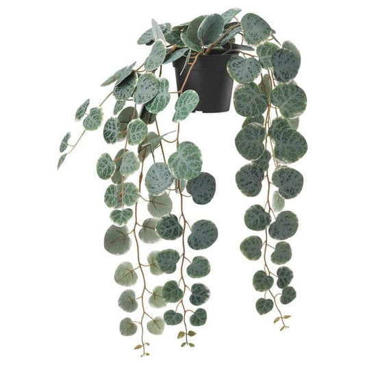 Ikea FEJKA - Artificial potted plant, in/outdoor hanging/String of hearts, 9 cm