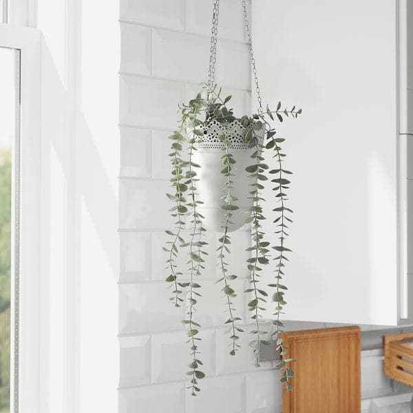 FEJKA - Artificial potted plant, in/outdoor hanging/eucalyptus, 9 cm - best price from Maltashopper.com 70466811