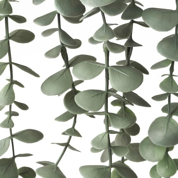 FEJKA - Artificial potted plant, in/outdoor hanging/eucalyptus, 9 cm - best price from Maltashopper.com 70466811