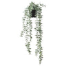 FEJKA artificial potted plant, in/outdoor hanging/eucalyptus, 9 cm
